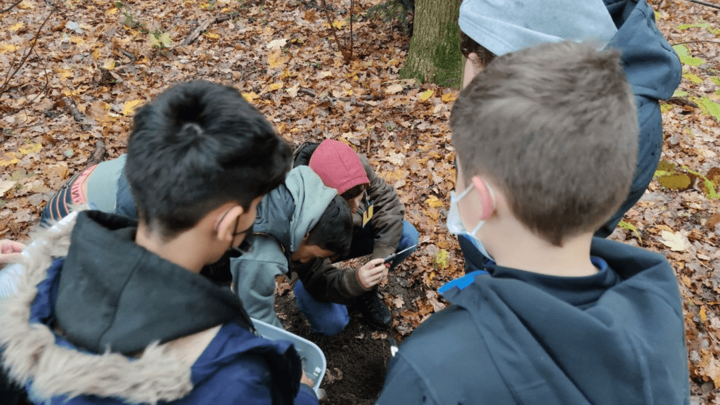 Jugendliche erforschen den Wald