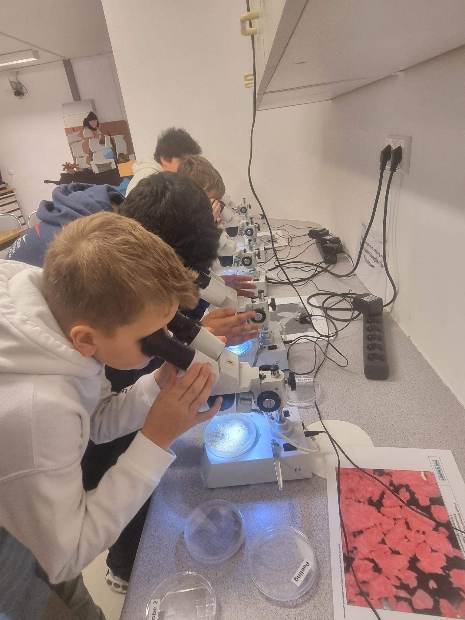 Wanderausflug IGS Friesland-Süd