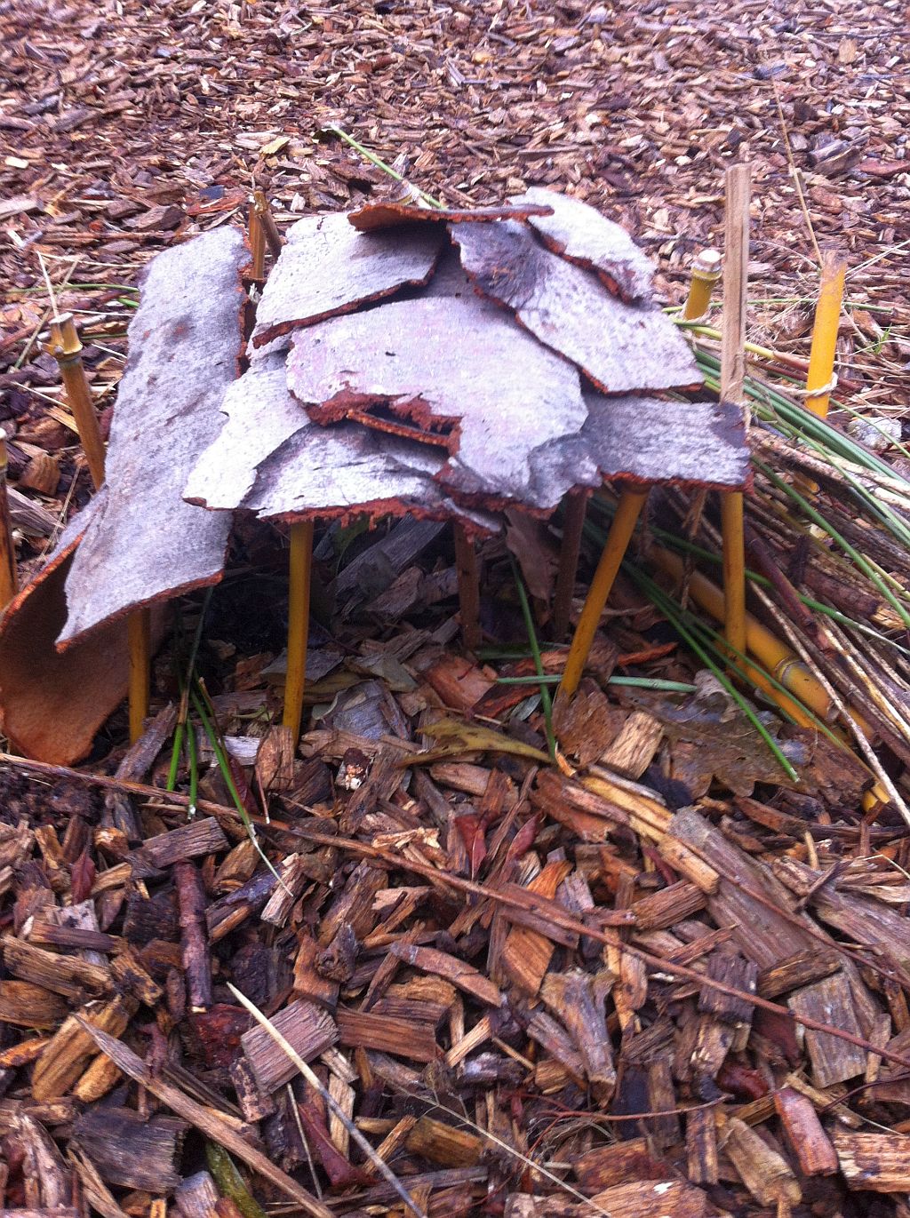 igs zetel kunst projekt