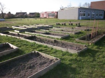 Schulgarten IGS Zetel
